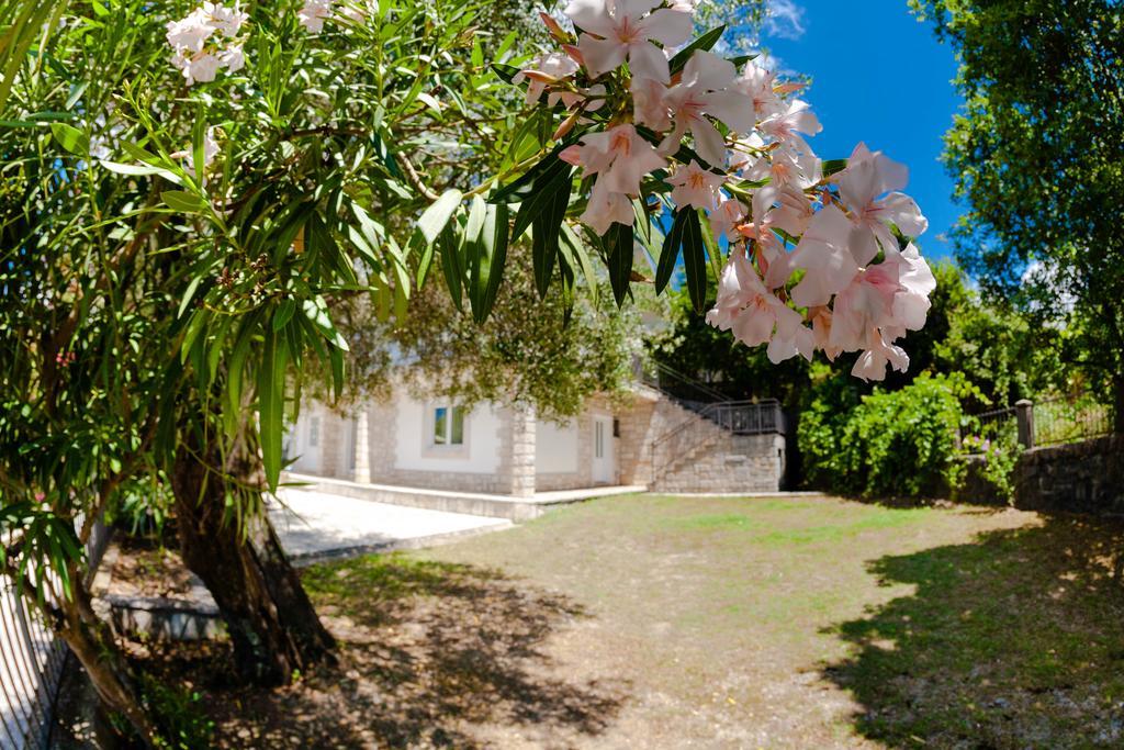 Olive Tree Villa Herceg Novi Kültér fotó