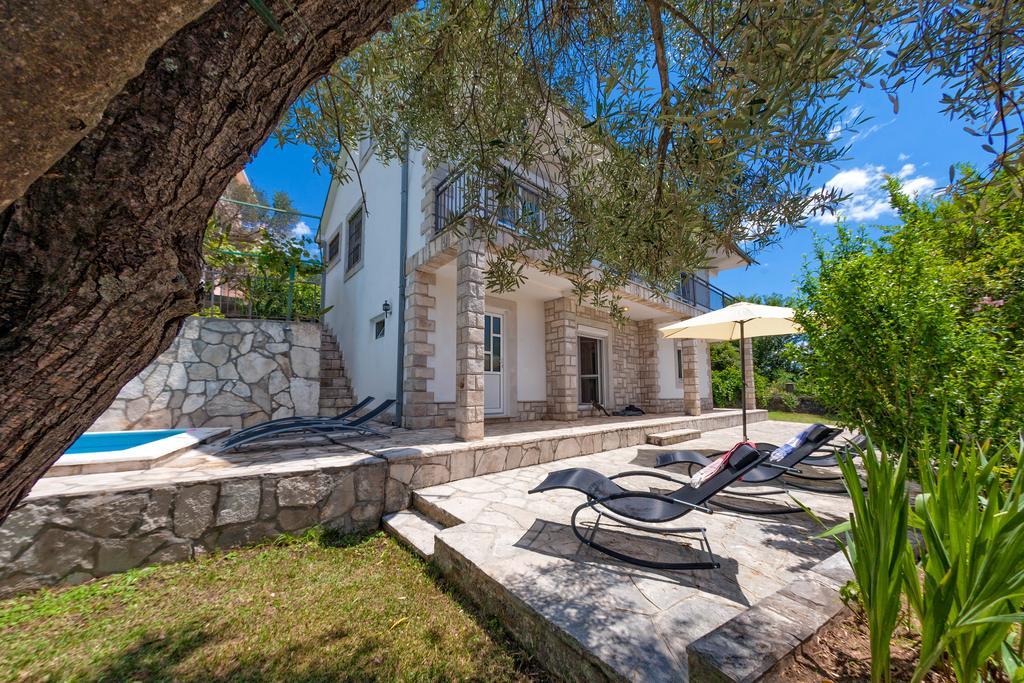 Olive Tree Villa Herceg Novi Kültér fotó