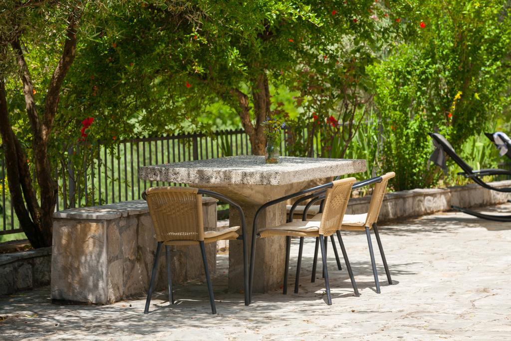 Olive Tree Villa Herceg Novi Kültér fotó